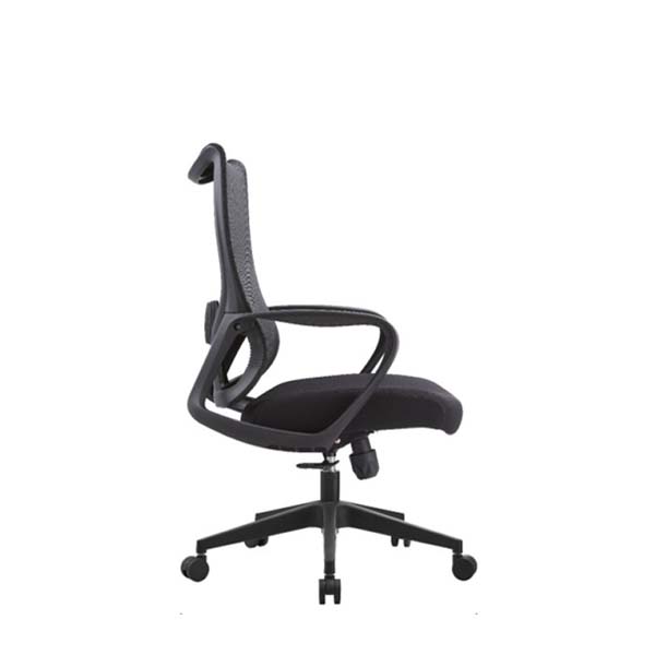 Sitology Mesh Chair NT-81